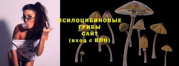 эйфоретик Аркадак