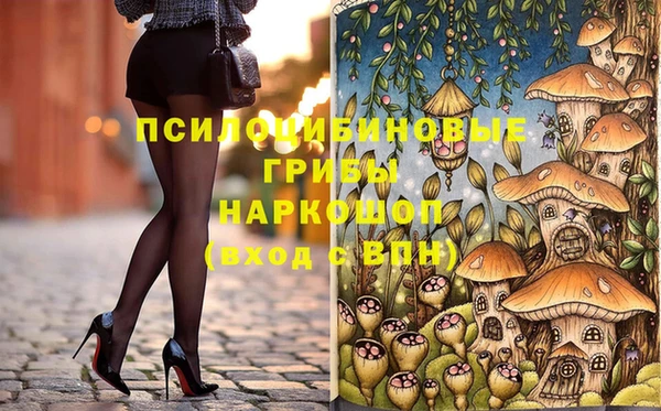 эйфоретик Аркадак